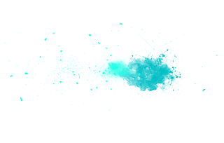 11.png